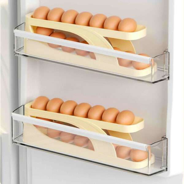 Refrigerator Egg Dispenser Tray