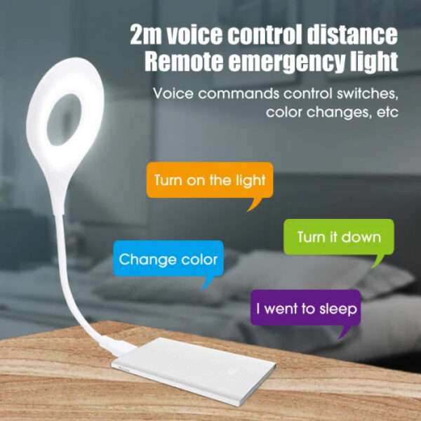 Smart voice control light