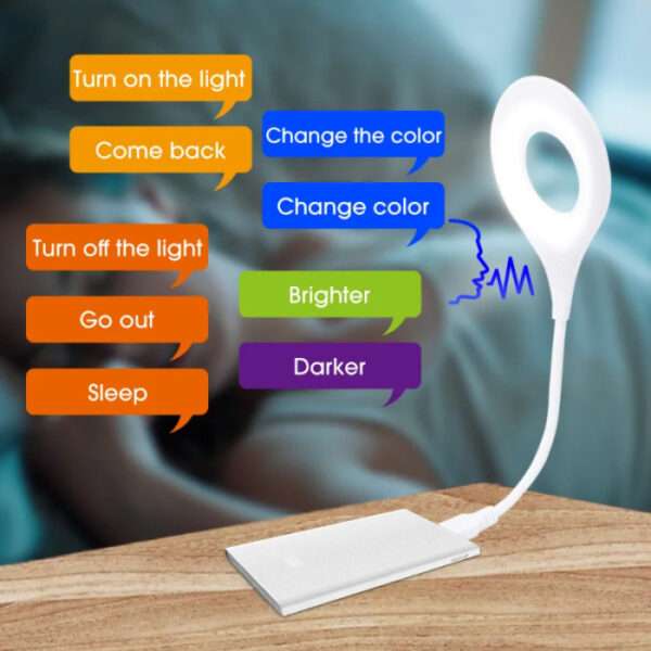 Smart voice control light