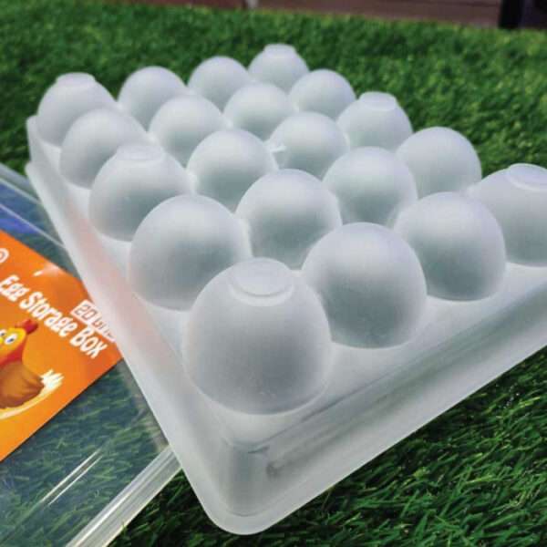 20 Grid Egg Box