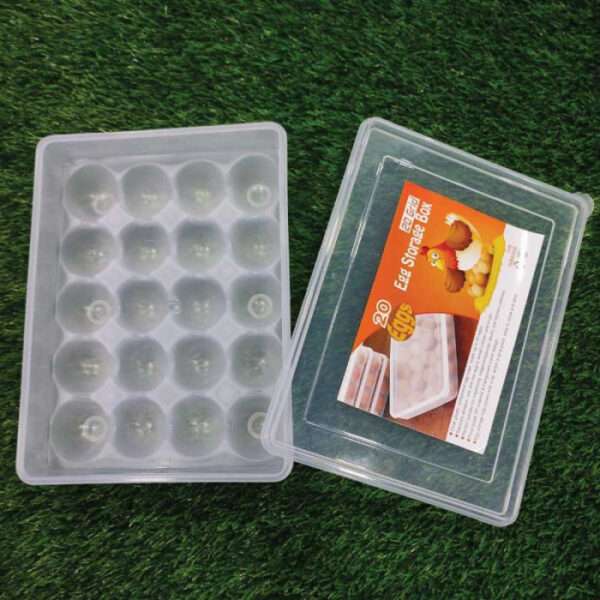 20 Grid Egg Box